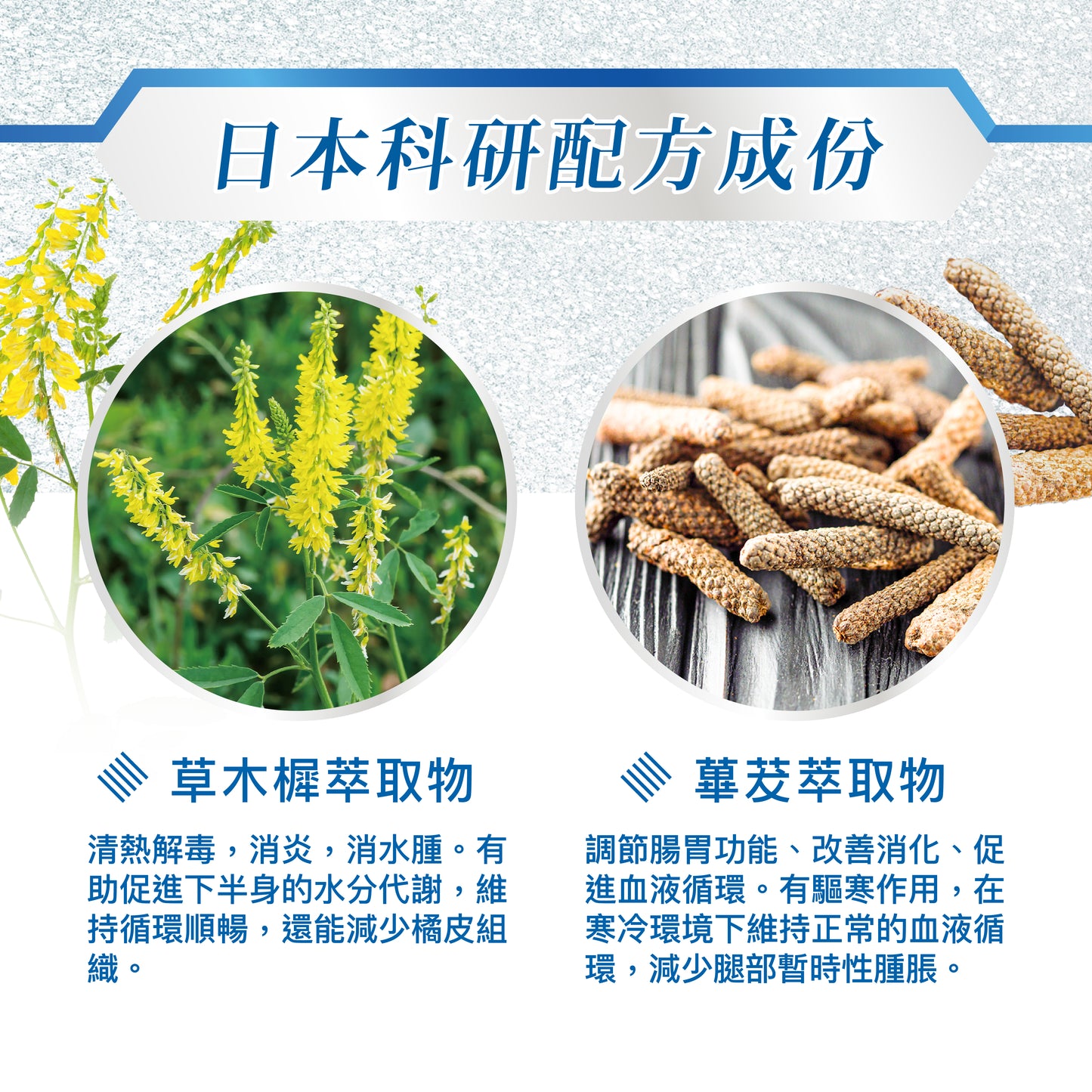 袪濕 Relieving Dampness (買2件8折)